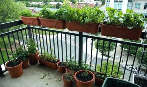 How can arranging pots by height create a more balanced look on a balcony