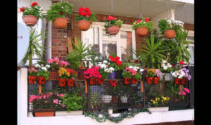 What difference does turning pots a little every few weeks make to even plant growth