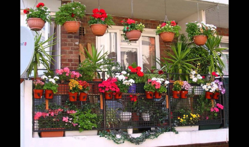 What difference does turning pots a little every few weeks make to even plant growth